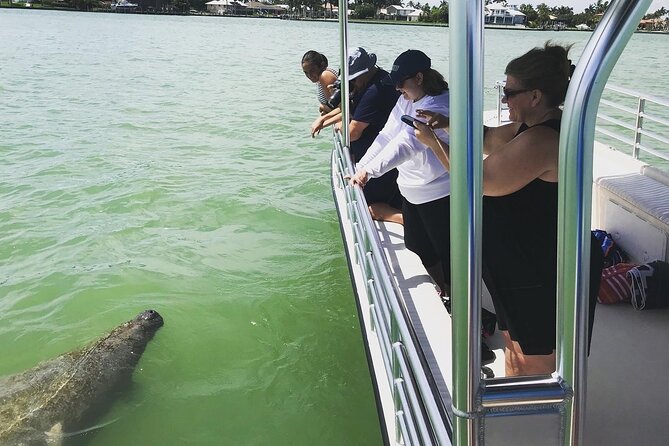 Marco Island Dolphin Sightseeing Tour - Price and logistics: small costs that add up