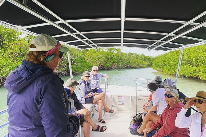 Marco Island Dolphin Sightseeing Tour - Who this Marco Island dolphin tour is best for
