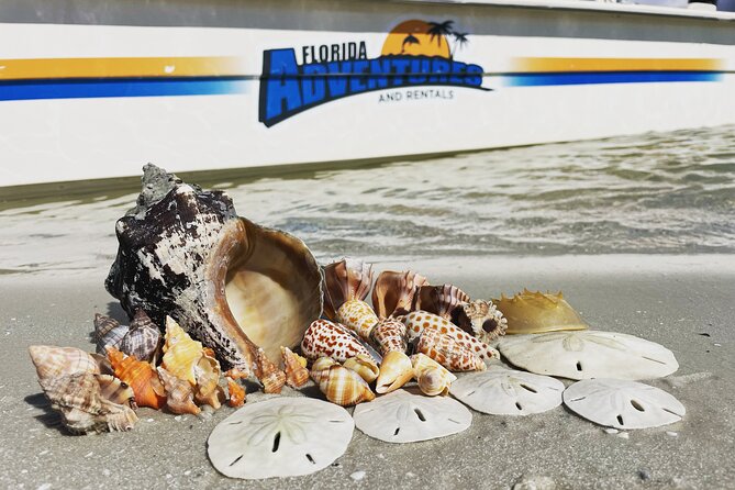 Marco Island Wildlife Sightseeing and Shelling Tour - Why the Ten Thousand Islands mangroves are the main attraction