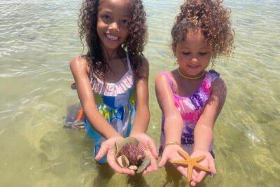 Marco Island Wildlife Sightseeing and Shelling Tour - Cruising gulf waters toward Cape Romano: what you actually do for two hours