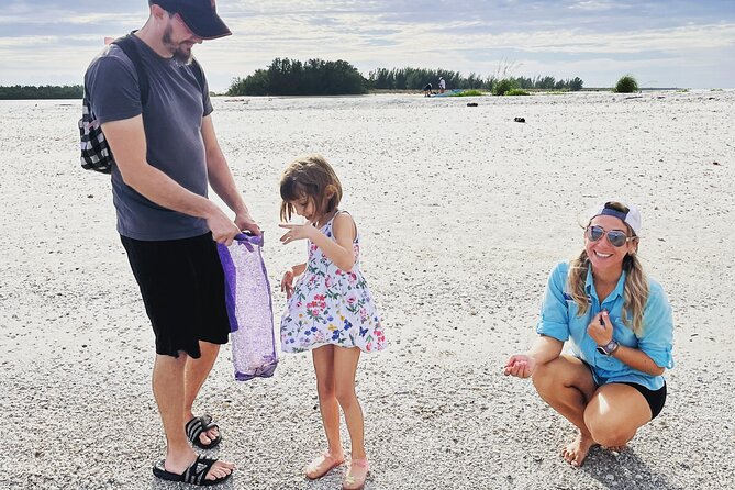 Marco Island Wildlife Sightseeing and Shelling Tour - Shelling on a Ten Thousand Islands beach: how to make your finds better