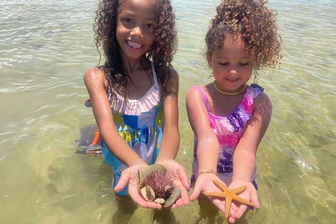 Marco Island Wildlife Sightseeing and Shelling Tour - Cruising gulf waters toward Cape Romano: what you actually do for two hours