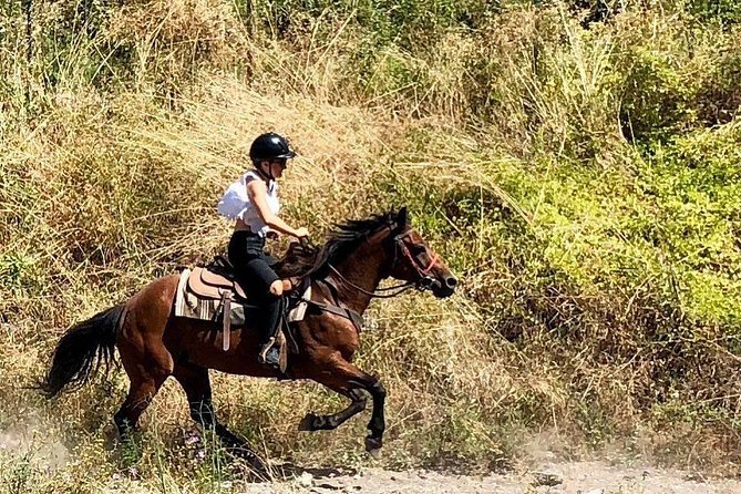 Mount Vesuvius Guided Horse Riding Tour with Sample Wine - Pickup From Ramada and the Short Ride to the Stables