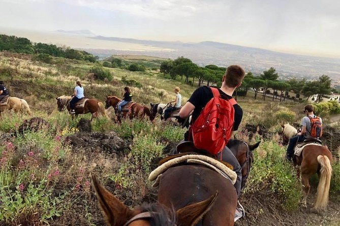 Mount Vesuvius Guided Horse Riding Tour with Sample Wine - Who This Tour Fits Best (and Who Might Want Another Option)