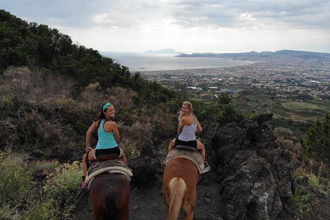 Mount Vesuvius Guided Horse Riding Tour with Sample Wine - Price and Value: Is $107.68 Fair for Vesuvius on Horseback?