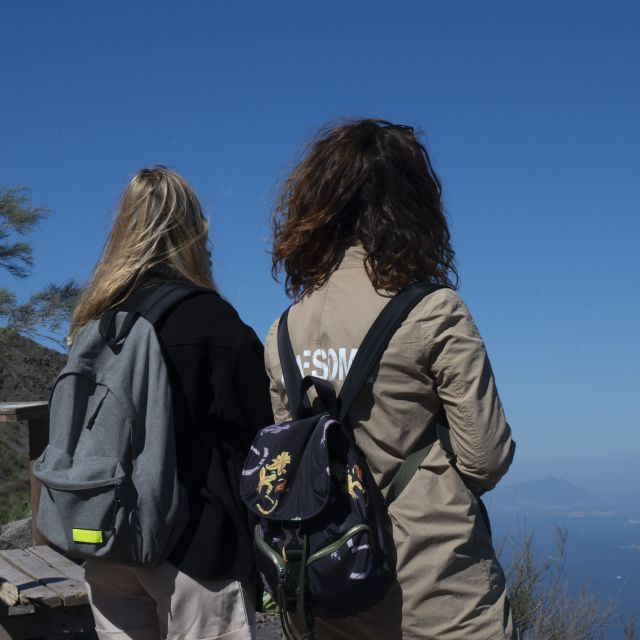 Mount Vesuvius: Skip-the-Line Ticket and Smart Digital Guide - Getting to the mountain: bus option vs your own transport