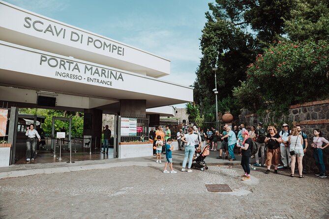Mount Vesuvius Tour from Pompeii Led by an Expert Guide - Getting up the road to Vesuvius: what the minibus setup really does