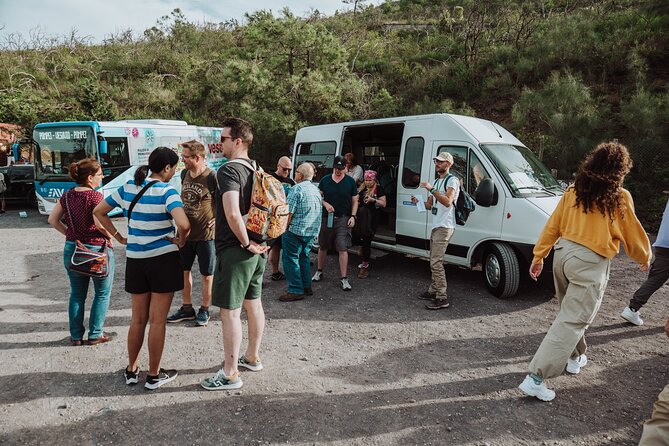 Mount Vesuvius Tour from Pompeii Led by an Expert Guide - The main event: the Vesuvius National Park hike and crater approach