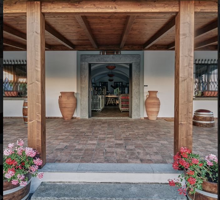 Mount Vesuvius: Vineyard Tour with Wine Tasting and Lunch - Lunch with a View: Local Ingredients That Don’t Feel Like Filler