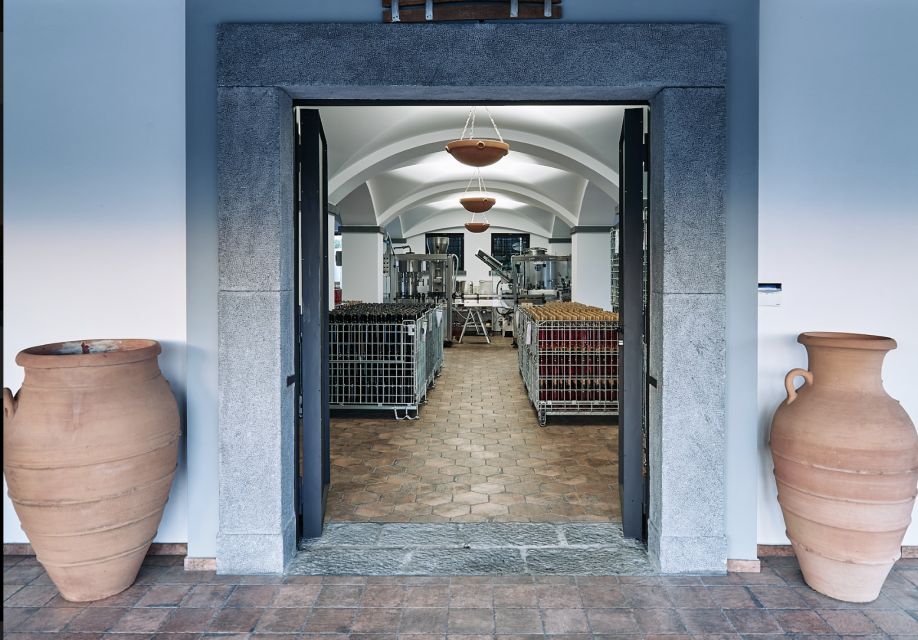 Mount Vesuvius: Vineyard Tour with Wine Tasting and Lunch - The Vineyard and Facility Tour: What You Learn and What You See