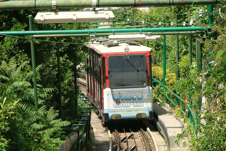 Naples: Day Trip to Pompeii and Capri - Hydrofoil to Capri: the shortcut to island time