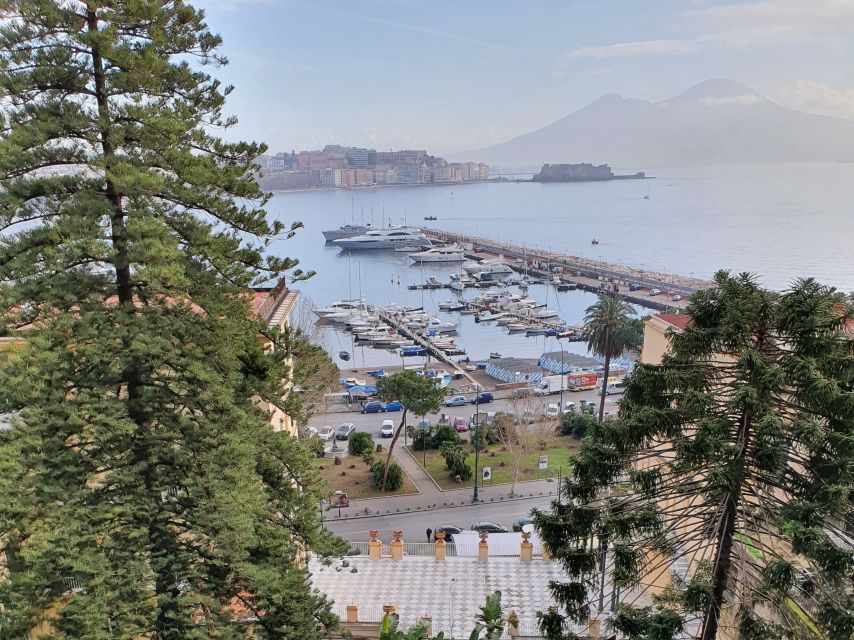 Naples: Naples, Pompeii, and Vesuvius Full-Day Tour - Price and value: what $141.61 covers in real terms