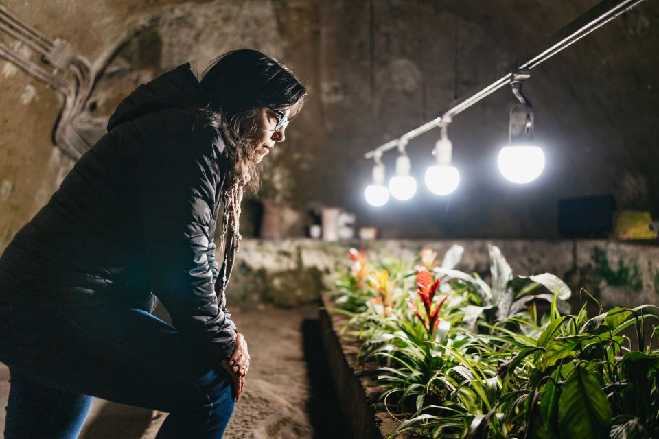 Naples: Naples Underground Entry Ticket and Guided Tour - Key highlights you’ll actually feel walking