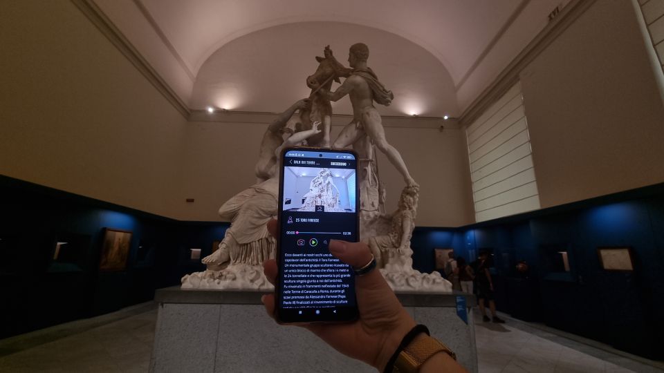 Naples: National Archaeological Museum audio guide - Before you go: get your phone ready like it matters (because it does)