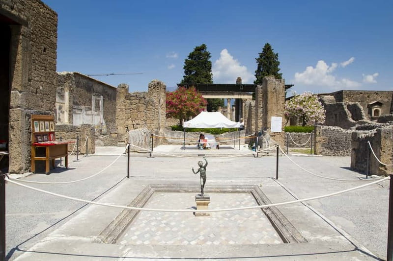 Naples or Sorrento: Full-Day Pompeii and Mount Vesuvius Tour - Entering Pompeii: Skip the Ticket Line and Get the “How to See This Place” Guide