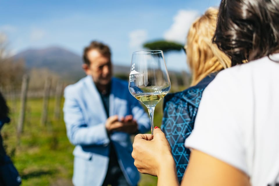 Naples: Pompeii and Mt. Vesuvius with Lunch and Wine Tasting - Vineyard lunch and wine tasting on the slopes