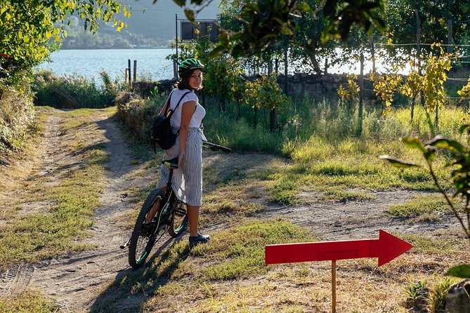 Naples Scenic E-Bike Ride to a Local Vineyard with Meal - The Vineyard by Lake Averno: Wine Tasting and an Antipasto-Style Meal