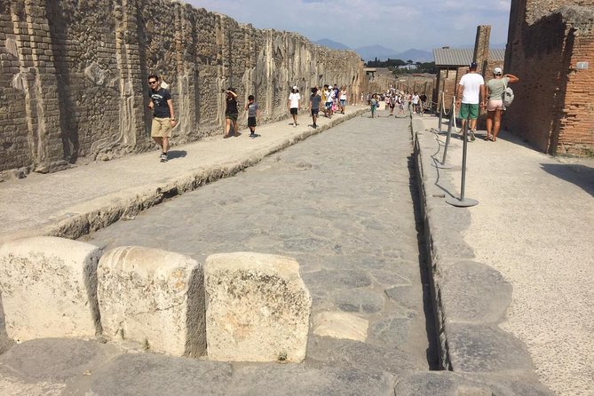 Naples Shore Excursion: Pompeii and Sorrento Day Trip - Price and What You Actually Get for $110.56