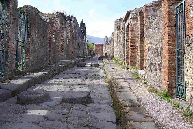 Naples Shore Excursion: Pompeii Half Day Trip from Naples - The Drive to Pompeii: Shared Ride, Shared Reality