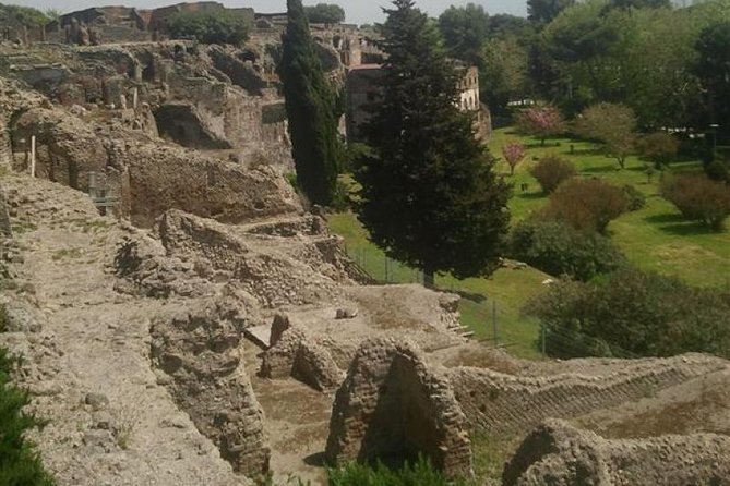 Naples Shore Excursion: Pompeii Half Day Trip from Naples - Your 2-Hour Pompeii Walk: Forum, Baths, Lupanare