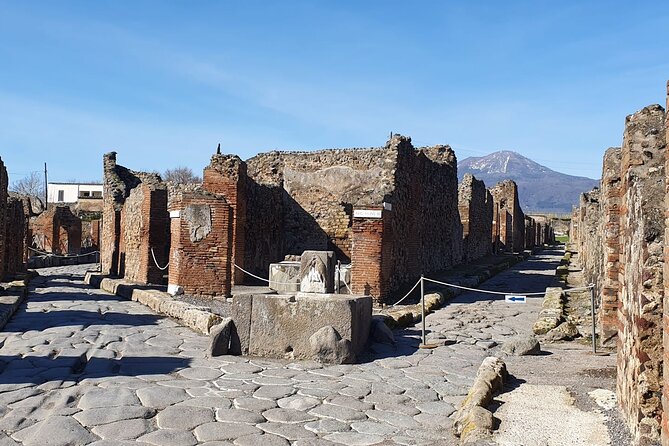 Naples: Tour of Mt Vesuvius and Pompeii w/ Lunch & Wine tasting - Pompeii Archaeological Park: see the big moments in 2 hours