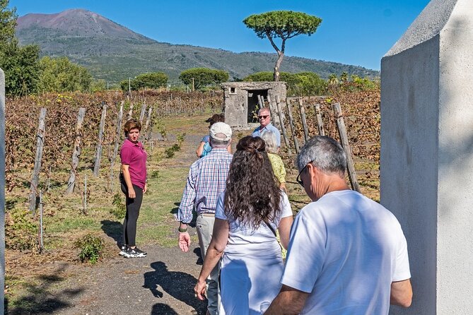 Naples: Tour of Mt Vesuvius and Pompeii w/ Lunch & Wine tasting - Price and value at about $147: what you’re really paying for