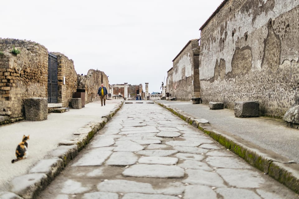 Pompeii: Afternoon to Sunset Guided Tour with Ticket - Forum and Basilica: where Roman public life happened