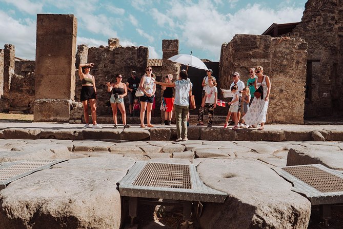 Pompeii and Mount Vesuvius Small Group Tour - If Vesuvius is closed: Herculaneum as your Plan B