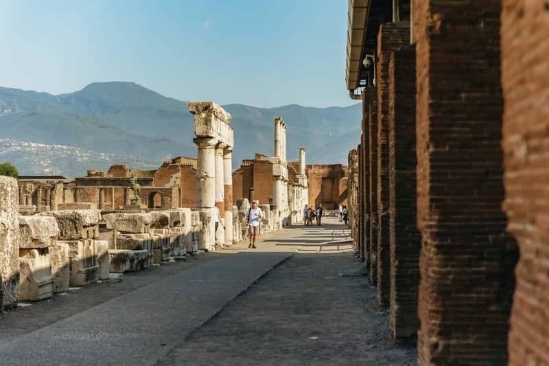 Pompeii: Archaeological Park Tour with Ticket on request - Pompeii highlights your guide will aim for: amphitheater, theatre, gymnasium