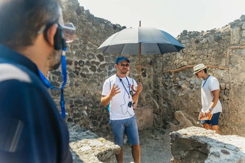 Pompeii: Archaeological Park Tour with Ticket on request - Price and value for a Pompeii must-see