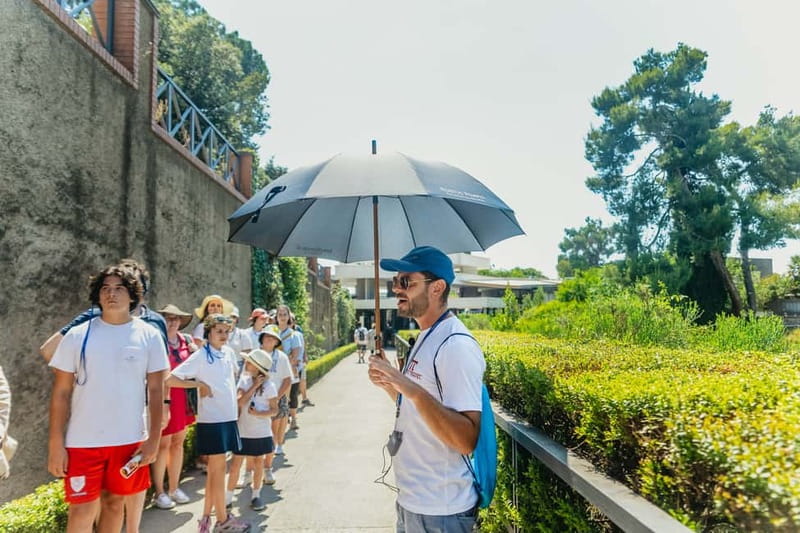 Pompeii: Archaeological Park Tour with Ticket on request - Practical tips before you go to Pompeii with this ticket