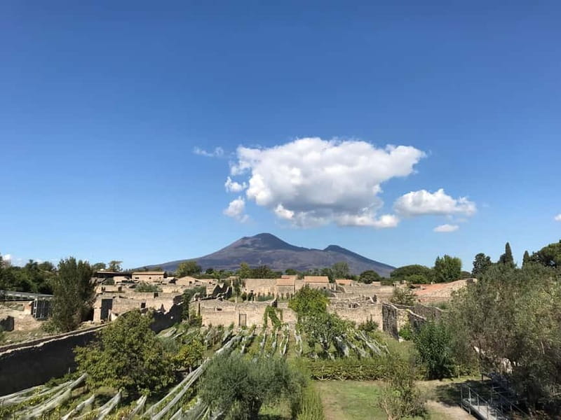 Pompeii: Archeological Tour & Wine Tasting at Mt. Vesuvius - Wine Tasting and a Chef Lunch With Vesuvian Pairings