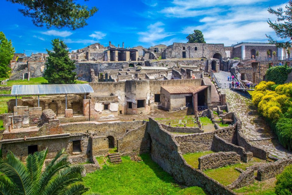 Pompeii: Day Tour of Pompeii and Vesuvius with Bus Transfer - Inside the Crater Area: 1.5 Hours of Freedom at the Top