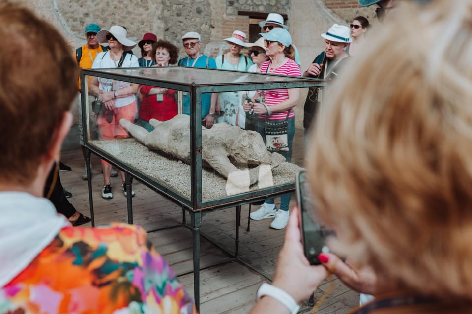 Pompeii: Entry Ticket and Guided Tour with an Archaeologist - House of the Faun: where art, status, and layout show up fast