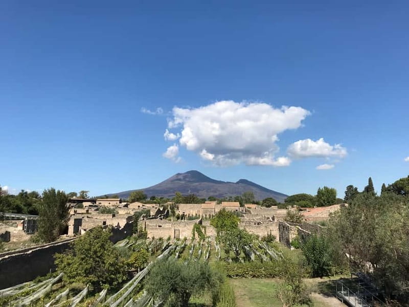 Pompeii: Exclusive Tour with Archaeologist and Entry Tickets - Pompeii VIP: what makes this tour work so well