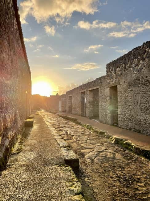 Pompeii: Exclusive Tour with Archaeologist and Entry Tickets - The houses: Vettii and Faun, plus what to look for