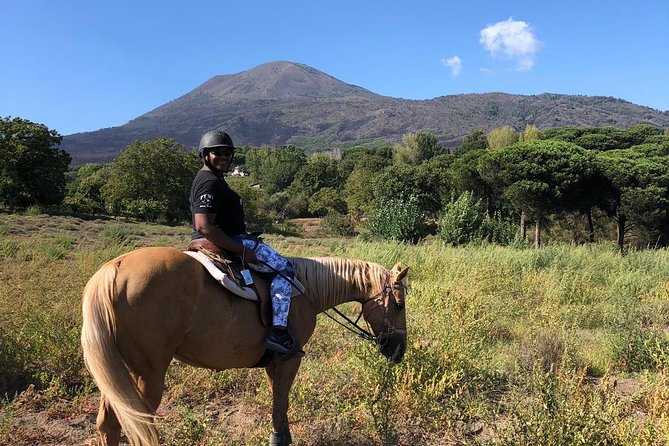 Pompeii Guided Tour & Horse Riding on Vesuvius with Lunch - Entering Pompeii: Houses, Streets, and Moments After the Ash