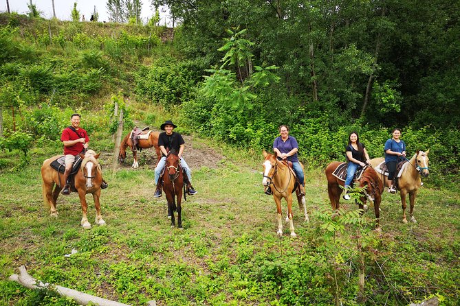 Pompeii Guided Tour & Horse Riding on Vesuvius with Lunch - Should You Book This Tour?