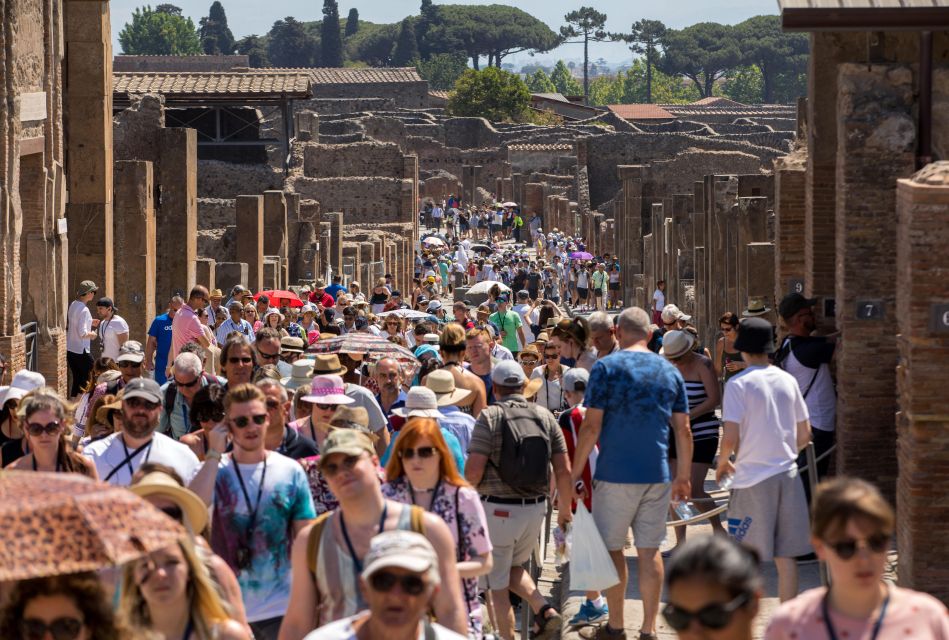 Pompeii: Skip-the-Line Entry & Audioguide - Starting at the Central Forum (And Using Mount Vesuvius for Context)