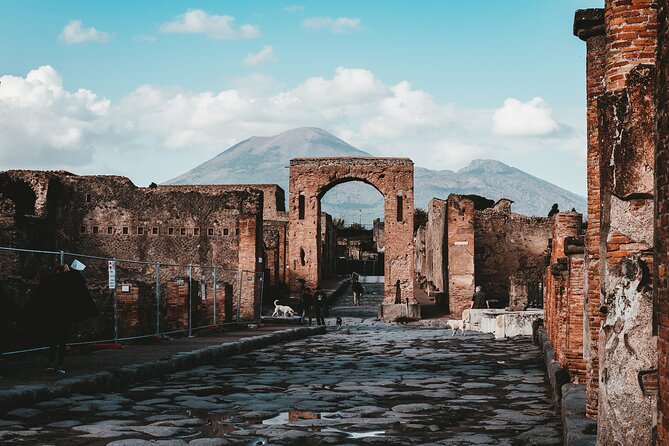 Pompeii: Skip the line ticket (art) + audioguide + map - Porta Marina Inferiore and the artecard: how the entry works in real life