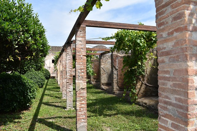 Pompeii Skip-the-line Tour with Archaeologist Guide - Mt. Vesuvius and AD 79: The Story Your Guide Turns Into Visible Clues