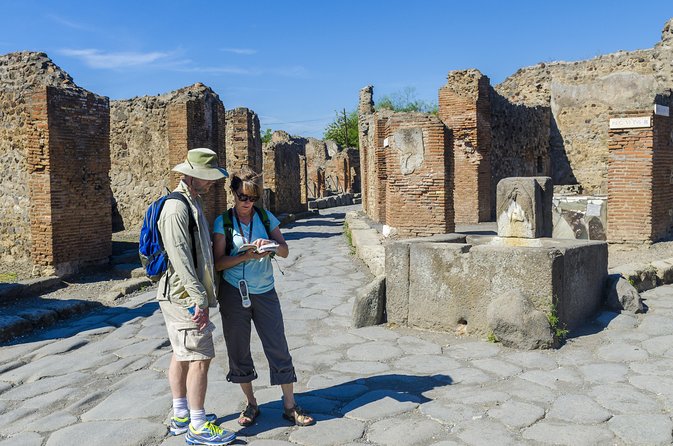 Pompeii Small Group Tour with an Archaeologist - Menander’s House and the Art of Reading Pompeii’s Surfaces