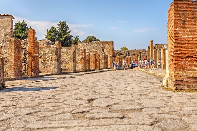 Pompeii Ticket + Tour with Optional Tasting Experience at Pompeii - Who this Pompeii ticket + tour is best for