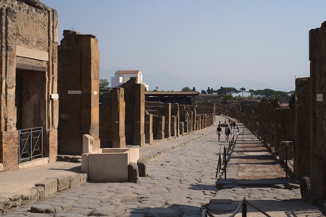 Pompeii Tour & Lunch with Wine Tasting Experience - Mt. Vesuvius wine tasting: Tears of Christ and volcanic flavor