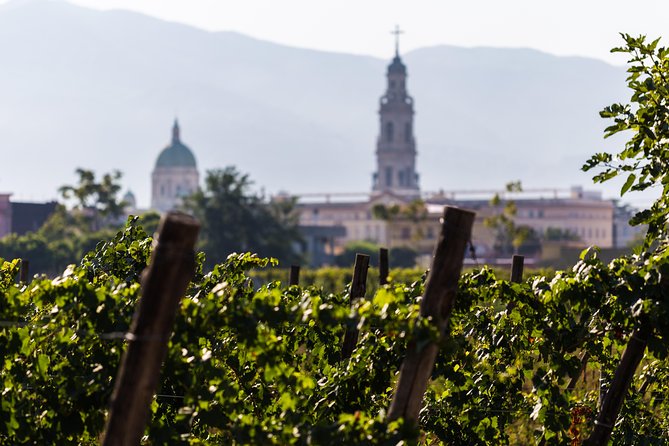 Pompeii Vineyard Escape: Private Wine Tasting & Lunch - Pompeii Vineyard Escape at Bosco de Medici: Wine, Food, and a 79 AD Detour