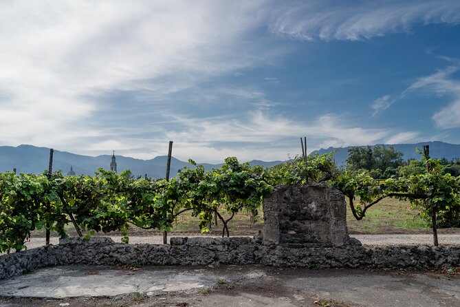Pompeii Vineyard Escape: Private Wine Tasting & Lunch - A Short Ride and a Scenic Pace: Golf Cart Versus Walking
