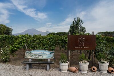 Pompeii Vineyard Escape: Private Wine Tasting & Lunch - The Winery Stops: Experimental Vineyard, Winemaking Room, and Refining Room