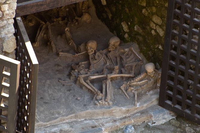 Private Day Tour to Vesuvius, Herculaneum & Pompeii with Pick Up - Pompeii, Herculaneum, and Vesuvius: The Best One-Day Combo