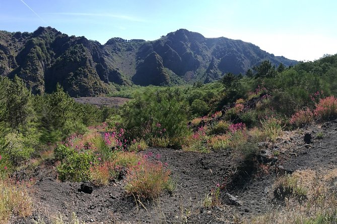 Private Day Tour to Vesuvius, Herculaneum & Pompeii with Pick Up - Herculaneum at Parco Archeologico di Ercolano: Smaller, Better Preserved