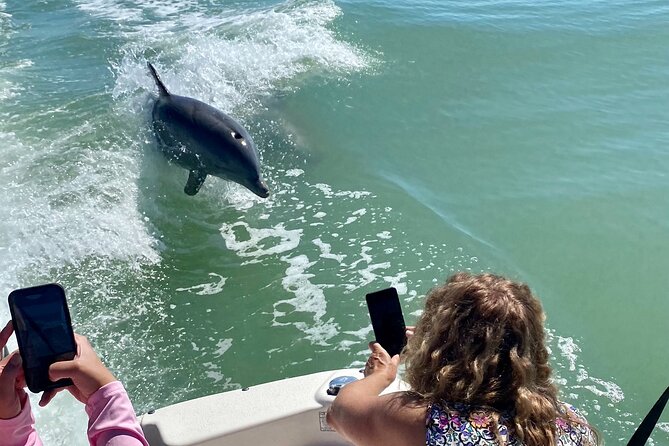 Private Shelling and Dolphin Excursion - Key Highlights I’d Plan Around